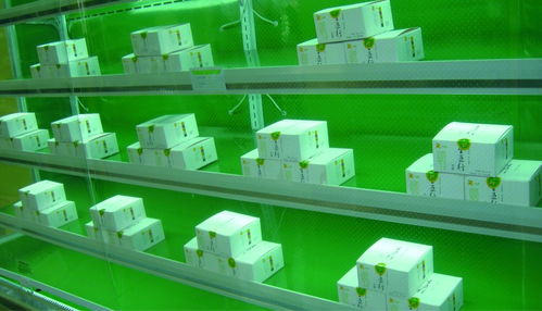 五行豆腐農(nóng)產(chǎn)品包裝設計與市場營銷策劃方案